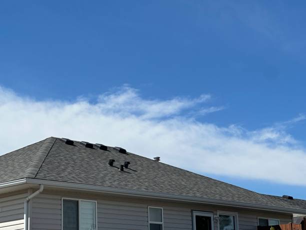 Best Asphalt Shingles Roofing  in Valley View, PA